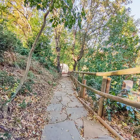 Poggio Imperiale Marche - & Glamping & Bubble *