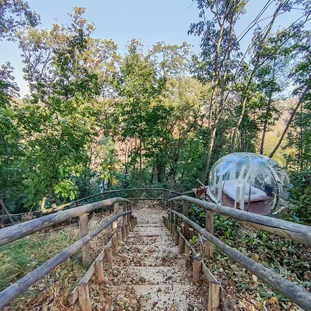 Poggio Imperiale Marche - & Glamping & Bubble 西维尔诺瓦·马尔凯