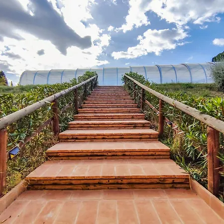 Poggio Imperiale Marche - & Glamping & Bubble 公寓 西维尔诺瓦·马尔凯